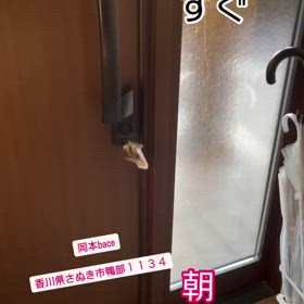 玄関開けたらすぐ◯◯の画像