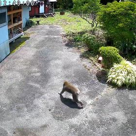 色々の画像
