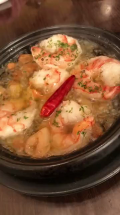久しぶりの外食に♫の記事動画