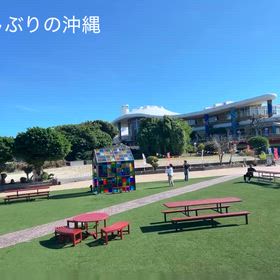 久しぶりの沖縄旅行の画像