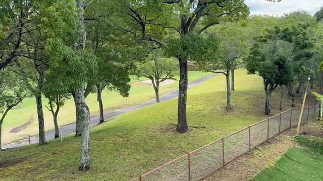 恐るべき線状降水帯の記事動画