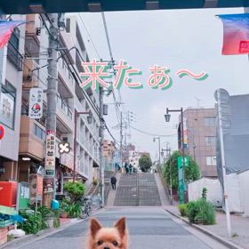 2024/07/01の画像