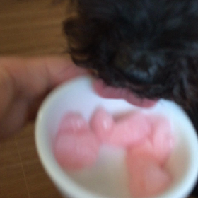 おやつにゼリー食べるビビの画像
