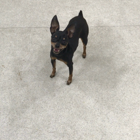 ♪プレイルーム動画♪①の画像