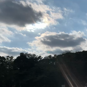 ９月27日10わんこと2時間遠足　代々木公園表参道の画像