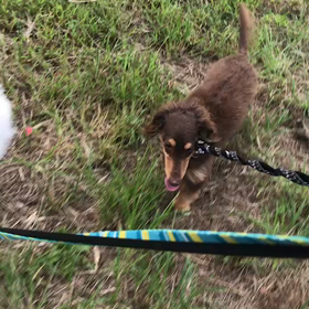 ♪お散歩動画♪代々木公園♪の画像