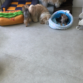 ♪プレイルーム動画♪②の画像