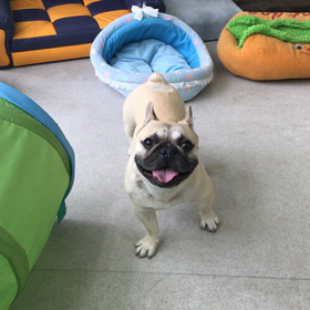 ♪プレイルーム動画♪の画像