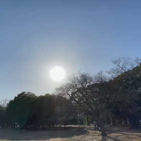 2月27日10わんこと2時間30分遠足　代々木公園表参道の画像