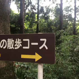 ♪お散歩動画♪砧公園♪の画像