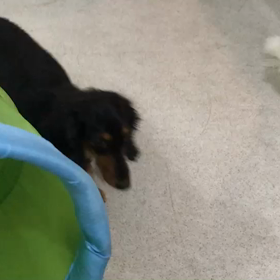 ♪プレイルーム動画♪の画像