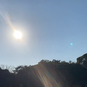 2月6日12わんこと2時間遠足　代々木公園表参道の画像