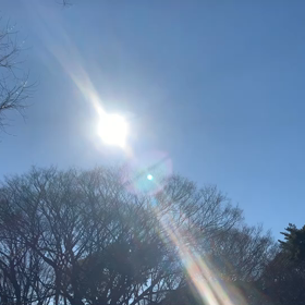 1月30日14わんこと2時間30分遠足　代々木公園表参道の画像