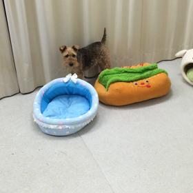 ♪プレイルーム動画♪の画像