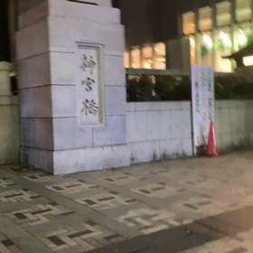 8月16日11わんこと1時間遠足　代々木公園の画像