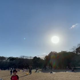 2月14日12わんこと2時間遠足　代々木公園表参道の画像