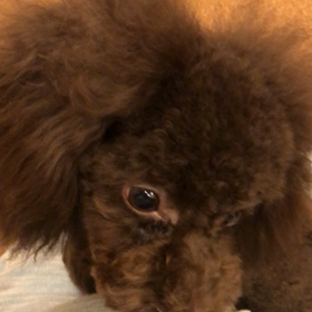 ♪24時間おうちお 泊まり♪の画像