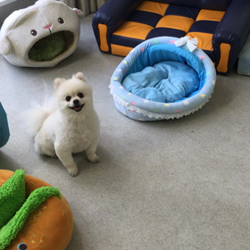 ♪プレイルーム動画♪の画像