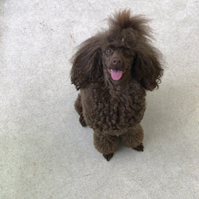 ♪プレイルーム動画♪の画像