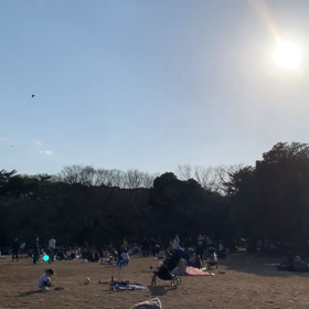 2月7日11わんこと2時間30分遠足　代々木公園表参道の画像
