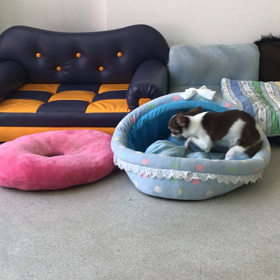 ♪プレイルーム動画♪①の画像