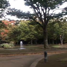 ♪お散歩動画♪代々木公園♪の画像