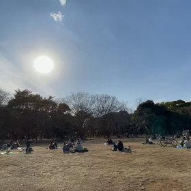 2月23日13わんこと2時間30分遠足　代々木公園表参道の画像