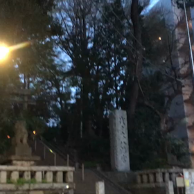 ♪お散歩動画♪代々木八幡宮♪の画像