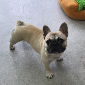 ♪プレイルーム動画♪の画像