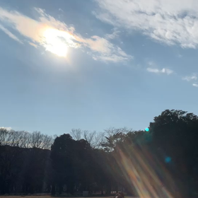 1月22日11わんこと2時間遠足　代々木公園表参道の画像