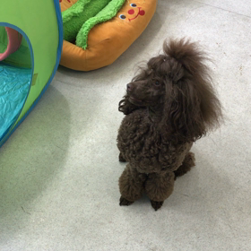 ♪プレイルーム動画♪①の画像