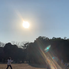 1月21日12わんこと2時間30分遠足　代々木公園表参道の画像