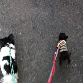 ☆今日のぽんぽこくん☆の画像