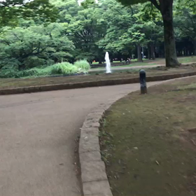♪お散歩動画♪代々木公園♪の画像