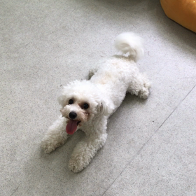 ♪プレイルーム動画♪の画像