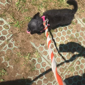 ♪お散歩動画♪代々木公園♪①の画像