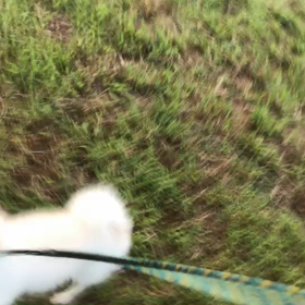 ♪お散歩動画♪代々木公園♪の画像