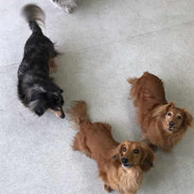 ♪プレイルーム動画♪①の画像