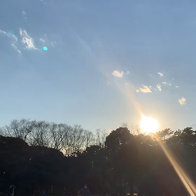2月3日11わんこと2時間遠足　代々木公園表参道の画像
