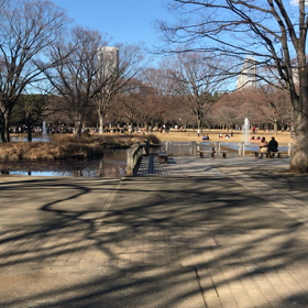 ♪お散歩動画♪代々木公園♪の画像