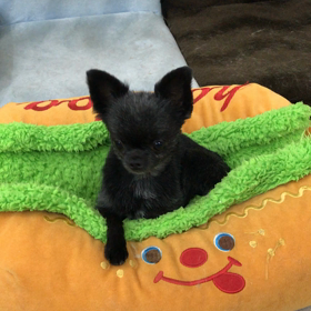 ♪プレイルーム動画♪の画像