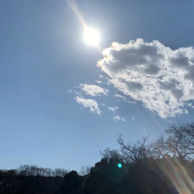 2月4日11わんこと2時間遠足　代々木公園表参道の画像
