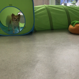 ♪プレイルーム動画♪①の画像