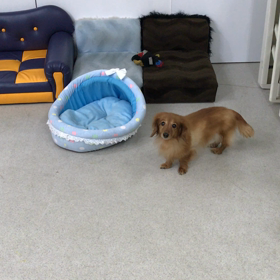 ♪プレイルーム動画♪①の画像