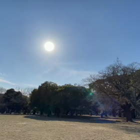 2月25日10わんこと2時間遠足　代々木公園表参道の画像