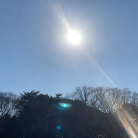 1月31日13わんこと2時間遠足　代々木公園表参道の画像