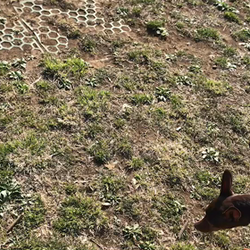 ♪60分遠足♪代々木公園♪②の画像
