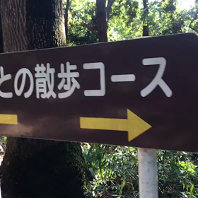 ♪お散歩動画♪砧公園♪の画像