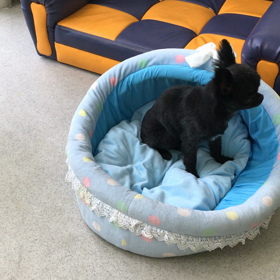 ♪プレイルーム動画♪②の画像