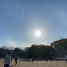 2月28日10わんこと2時間遠足　代々木公園表参道の画像